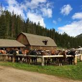 Elkhorn Ranch