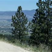 Canyon Creek Road