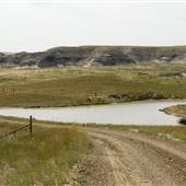 Lippard River Access and Road
