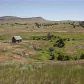 Jackson Ranch