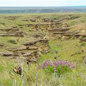 "The HooDoos" / "Mini" Makoshika