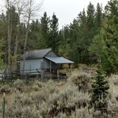 Bull Run Gulch Area Cabins & Homesteads