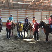 Cedar Ridge Equine