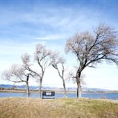 Dailey Lake