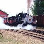 Nevada City Rail