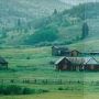 Mule Ranch