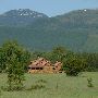 Condon Log Homes