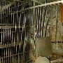 Old Butte Jail