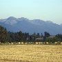 Swan Mountains:  Flathead Valley