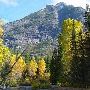 Fall Colors