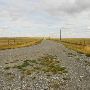 Seven Mile Road