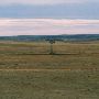 Miles City Badlands