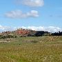 Walks With Burros Ranch