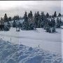 Mule Ranch