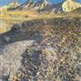 Miles City Badlands