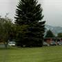 Bozeman High School