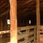 King Ranch