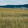 Madison Range