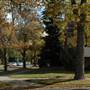 Montana State University