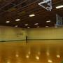 Montana State University Gyms