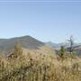Ridgeway Property
