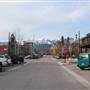 Whitefish