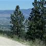 Canyon Creek Road
