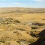 Link Bar Ranch
