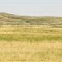 Highway 223- Fort Benton