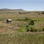 Jackson Ranch