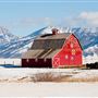 Bozeman