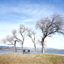 Dailey Lake