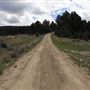 Fleecer Mountain Road
