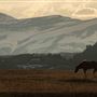 Blackfeet Indian Reservation