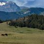 Blackfeet Indian Reservation
