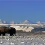 Blackfeet Indian Reservation