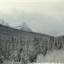 Cut Bank Creek Valley and Overlooks