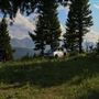 Cut Bank Creek Valley and Overlooks