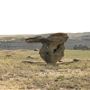 Blackfeet Nation Hoodoos