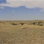 Blackfeet Nation Hoodoos