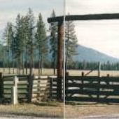 Mountain Shadow Ranch