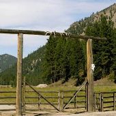 Piquette Creek Ranch