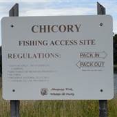 Chicory Access Site