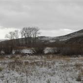 Shields River Road