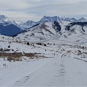 Trail Creek Road (Winter : Road, Farms, & Houses)
