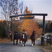 The Bar W Guest Ranch