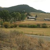 Browns Gulch Cabins & Homesteads
