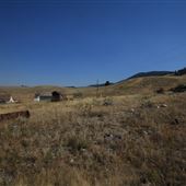 Bill Morris Ranch
