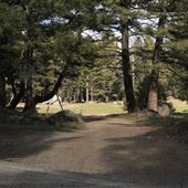 Fleecer Mountain Road