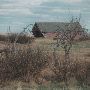 Pioneer Town (2007)